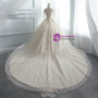 Light Champagne Tulle Short Sleeve Wedding Dress With Beading
