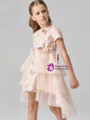 In Stock:Ship in 48 Hours Pink Tulle Hi Lo Short Sleeve Flower Girl Dress