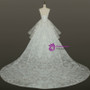 Brilliant White Ball Gown Lace Backless Wedding Dress With Train