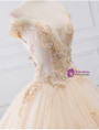 Champagne Tulle Appliques Off The Shoulder Wedding Dress With Beading