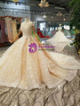Champagne Ball Gown Lace Cap Sleeve Backless Wedding Dress With Beading