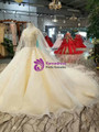 Light Champagne Tulle Sequins V-neck Backless Wedding Dress With Beading
