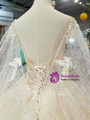 Light Champagne Tulle Sequins V-neck Backless Wedding Dress With Beading