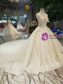 Light Champagne Ball Gown Tulle High Neck Backless Wedding Dress With Train