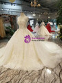 Light Champagne Ball Gown Tulle High Neck Backless Wedding Dress With Train