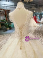 Light Champagne Ball Gown Tulle High Neck Backless Wedding Dress With Train