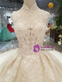 Light Champagne Ball Gown Tulle High Neck Backless Wedding Dress With Train