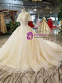 Champagne Tulle Sequins Bling Bling Puff Sleeve Backless Wedding Dress