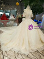 Light Champagne Tulle Sequins Puff Sleeve Wedding Dress With Detachable Train