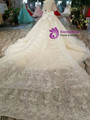 Light Champagne Tulle Sequins Puff Sleeve Wedding Dress With Detachable Train