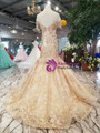 Champagne Mermaid Lace Appliques Cap Sleeve Backless Wedding Dress