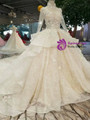 Champagne Tulle High Neck Long Sleeve Backless Appliques Wedding Dress