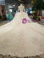 Champagne Tulle High Neck Long Sleeve Backless Appliques Wedding Dress