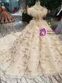 Champagne Lace Ball Gown Deep V-neck Backless Wedding Dress With Train