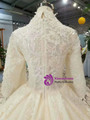 Champagne Tulle High Neck Short Sleeve Wedding Dress With Long Train