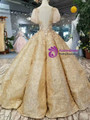 Gold Ball Gown Sequins Butterfly Sleeve Backless Wedding Dress With Beading