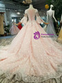 Pink Ball Gown Butterfly Appliques Wedding Dress With Beading