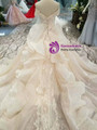Light Champagne Sequins Off The Shoulder Appliques Wedding Dress With Long Train