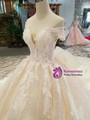 Light Champagne Sequins Off The Shoulder Appliques Wedding Dress With Long Train