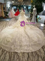 Light Champagne Sequins Off The Shoulder Appliques Wedding Dress With Long Train