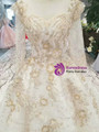 Light Champagne Sequins Long SLeeve Appliques Wedding Dress