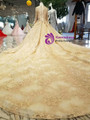 Champagne Gold Tulle Lace V-neck Long Sleeve Beading Wedding Dress