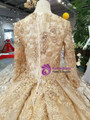 Champagne Gold Tulle Lace V-neck Long Sleeve Beading Wedding Dress