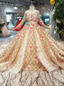 Champagne Sequins Long Sleeve Embroidery Appliques Wedding Dress With Beading