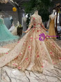 Champagne Sequins Long Sleeve Embroidery Appliques Wedding Dress With Beading