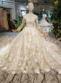 Champagne Tulle Sequins V-neck Long Sleeve Wedding Dress With Appliques