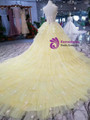 Yellow Tulle High Neck Corset Backless Appliqeus Wedding Dress With Long Train