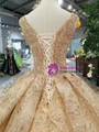 Champagne Ball Gown Deep V-neck Beading Wedding Dress With Long Train