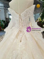 Light Champagne Sequins Appliques Long Sleeve off The Shoulder Wedding Dress With Long Train