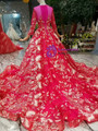 Red Tulle Appliques Long Sleeve Wedding Dress With Train