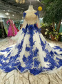 Ball Gown Tulle Blue Lace Appliques Long Sleeve Wedding Dress With Beading