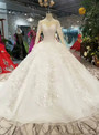 Light Champagne Tulle Appliques Long Sleeve Wedding Dress With Beading