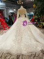 Light Champagne Tulle Appliques Long Sleeve Wedding Dress With Beading