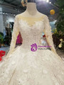 Light Champagne Tulle Appliques Long Sleeve Wedding Dress With Beading