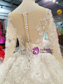 Light Champagne Tulle Appliques Long Sleeve Wedding Dress With Beading