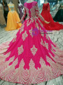 Fuchsia Tulle Champagne Lace Appliques Long Sleeve Wedding Dress