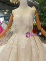 Champagne Tulle Sequins Bateau Backless Appliques Wedding Dress