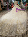 Champagne Tulle Sequins Long Sleeve Backless Appliques Wedding Dress With DetachableLong Train