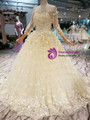 Light Champagne Tulle Appliques Long Sleeve Floor Length Wedding Dress