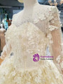 Light Champagne Tulle Appliques Long Sleeve Floor Length Wedding Dress