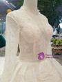 Ball Gown Tulle Lace Sequins V-neck Long Sleeve Wedding Dress With Long Train