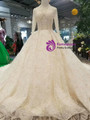Ball Gown Tulle Lace Sequins V-neck Long Sleeve Wedding Dress With Long Train