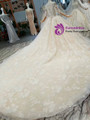 Champagne Ball Gown Tulle Lace Short Sleeve Off The Shoulder Wedding Dress