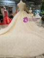 Champagne Tulle Lace Appliques High Neck Backless Wedding Dress With Train