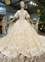Champagne Ball Gown Tulle Lace Bateau Puff Sleeve Wedding Dress With Long Train