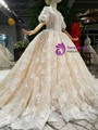 Champagne Ball Gown Tulle Lace Bateau Puff Sleeve Wedding Dress With Long Train